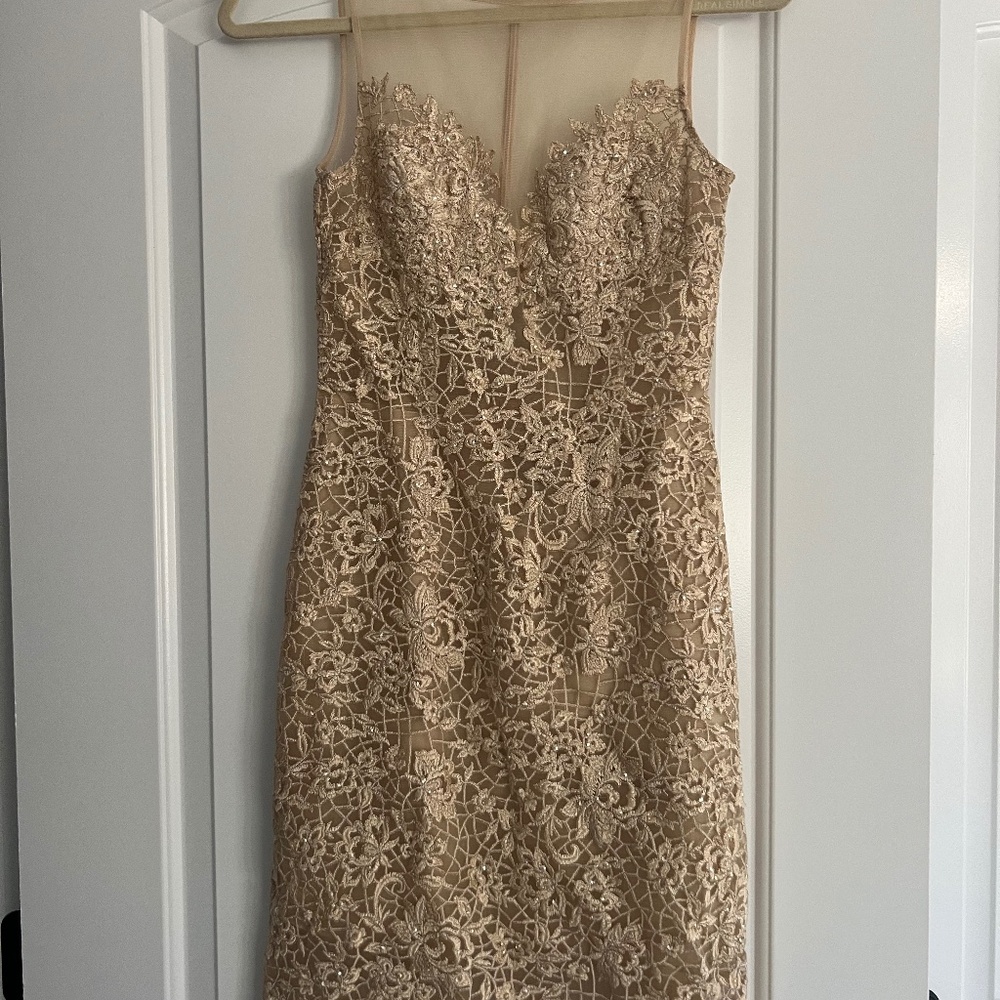 Basix Black Label Nude Beaded and Lace Dress